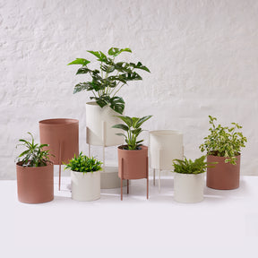 Notch Planter - Medium