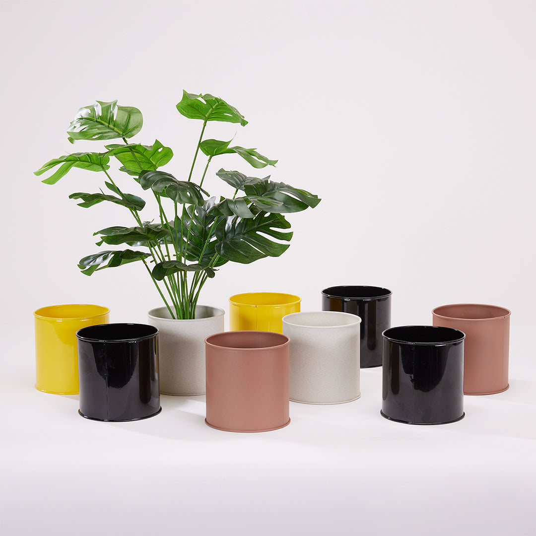 Zing - Shelf Planter