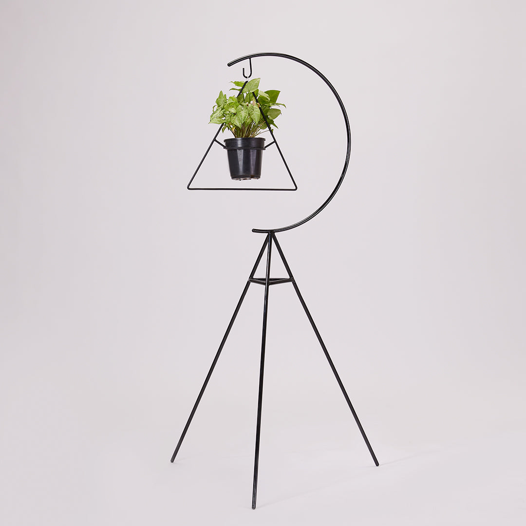 Swing Plant-Pot Stand