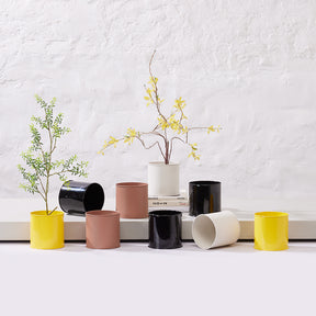 Zing - Shelf Planter