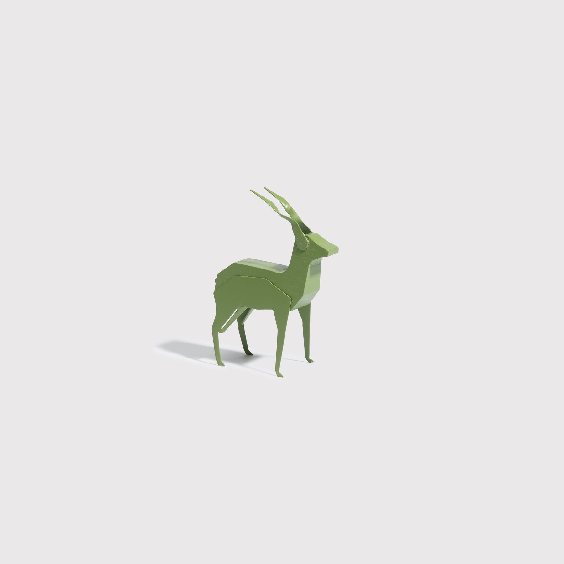 Eco-Walk Blackbuck