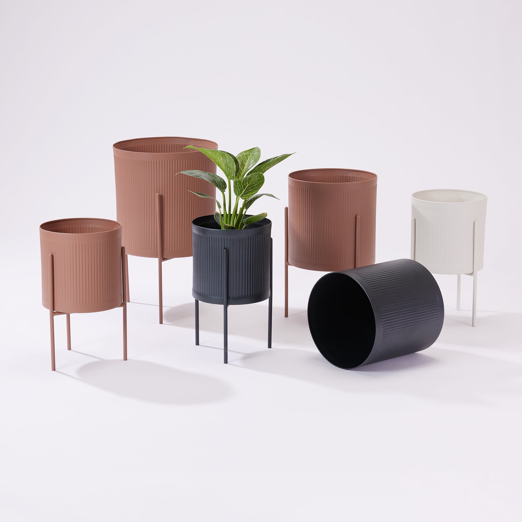 Notch Planter - Medium