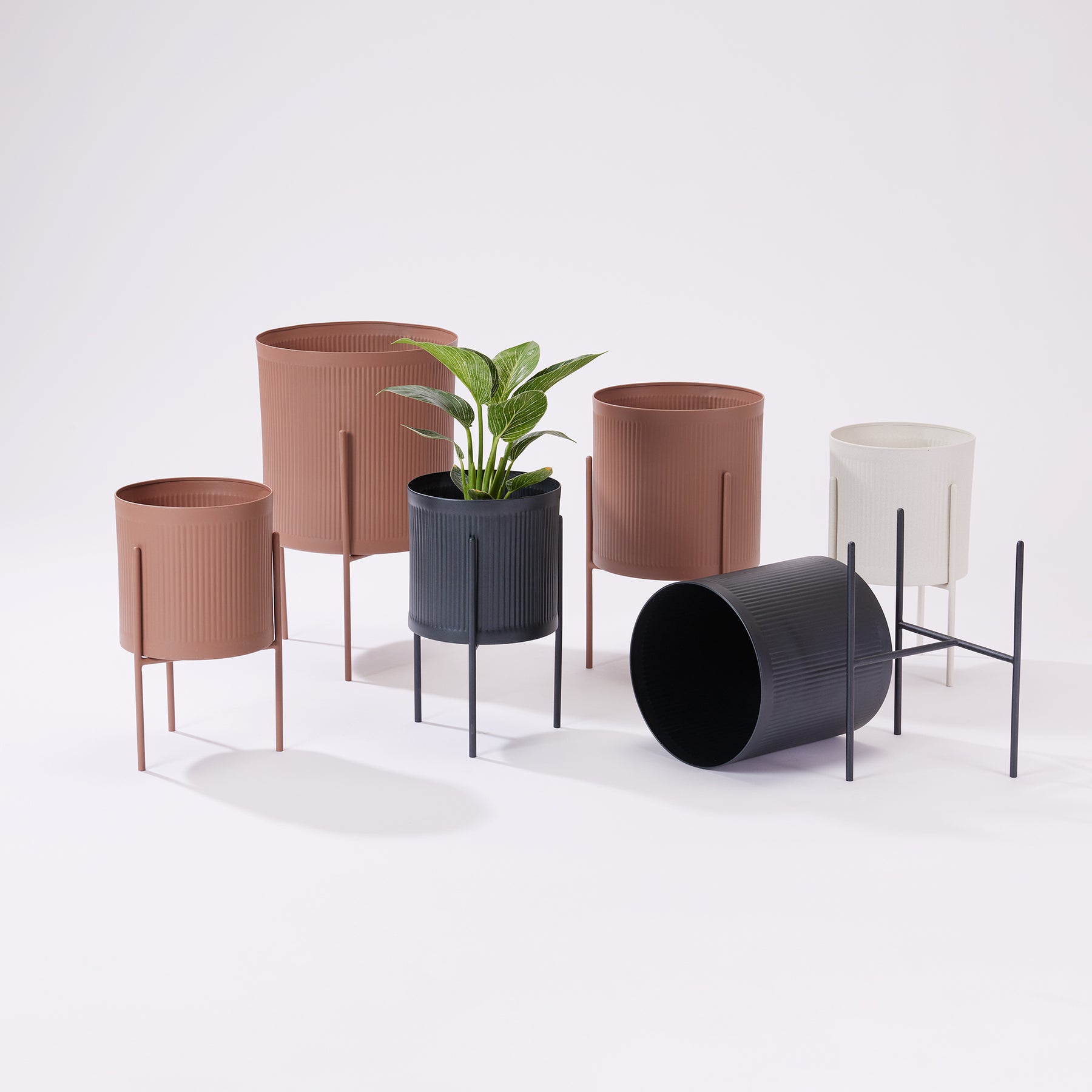 Notch Planter - Medium