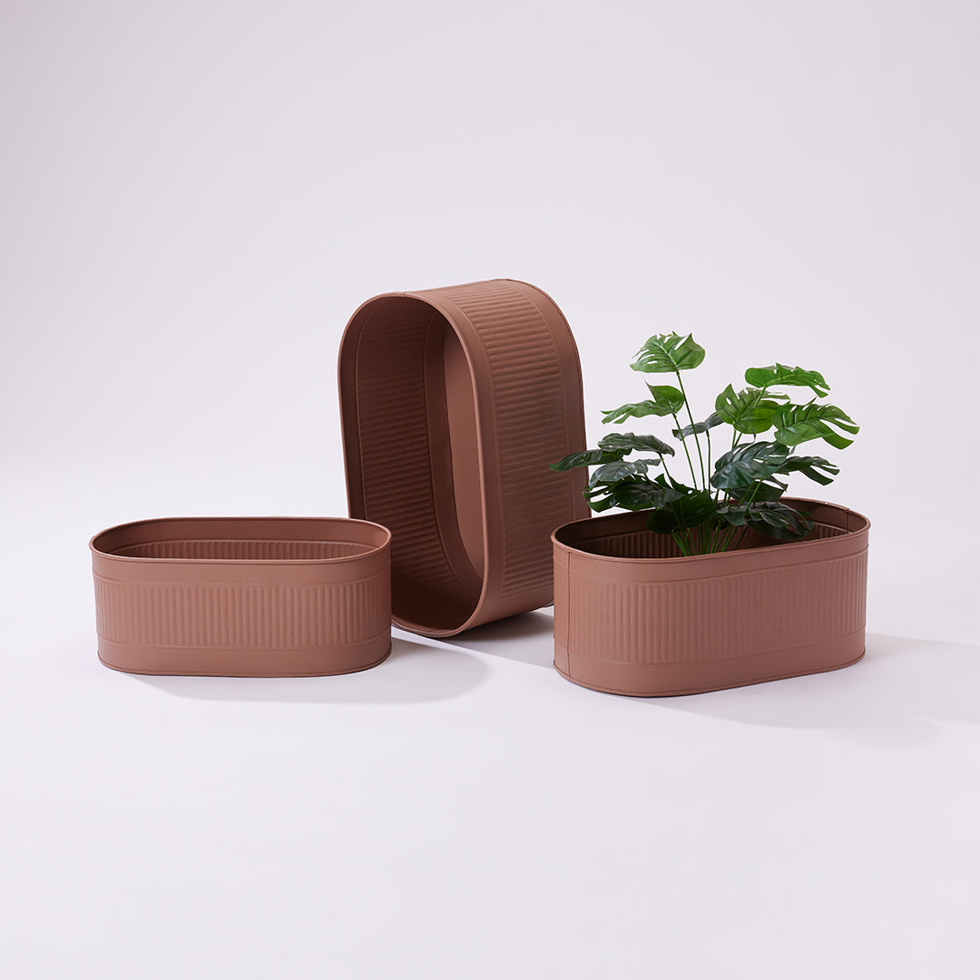 Wish Planter - Small