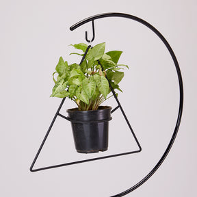 Swing Plant-Pot Stand