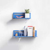 Brink Shelves (Set Of 2)